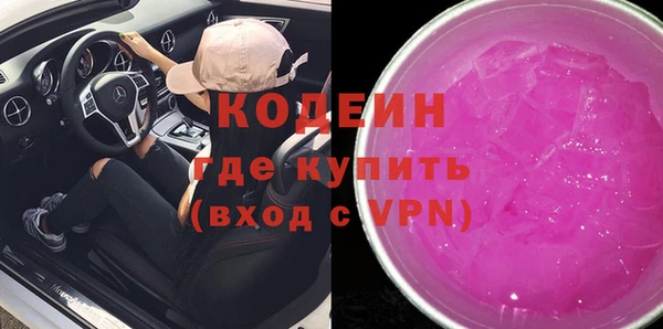 сатива Балахна