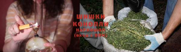 сатива Балахна